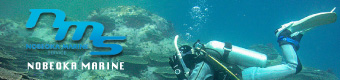 NOBEOKA MARINE