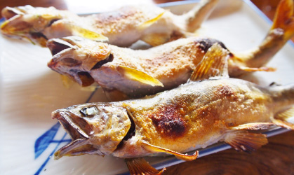 Sweet fish fishing weir (early Oct – early Dec)