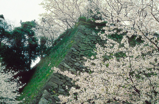 延岡城跡城山公園